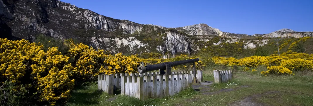 Driving in and around Holyhead